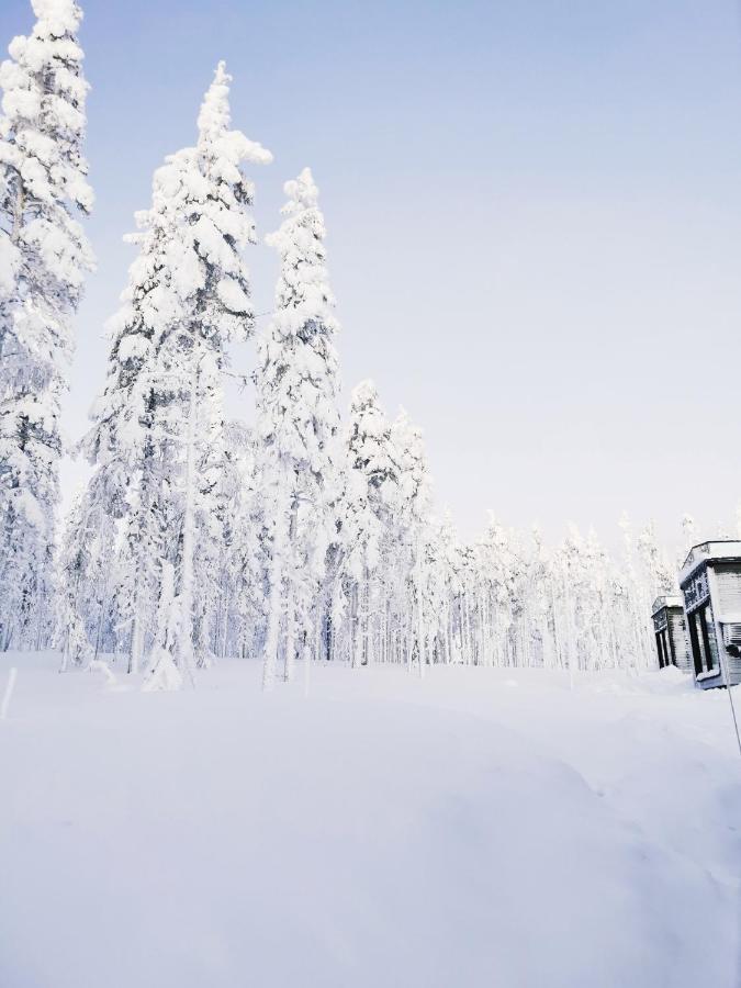 Levi Sky Igloo With Private Sauna And Hot Tub Экстерьер фото