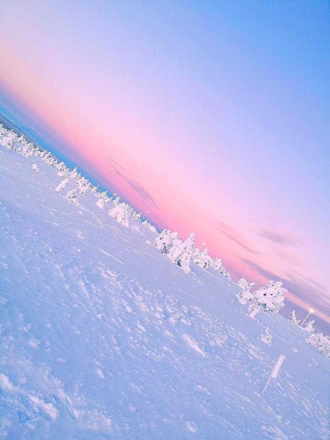 Levi Sky Igloo With Private Sauna And Hot Tub Экстерьер фото